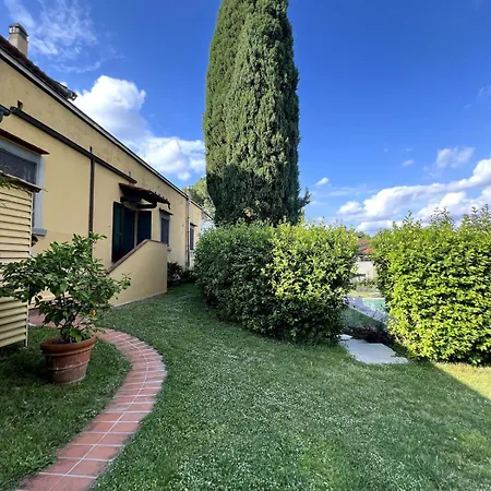 Taccetti - 