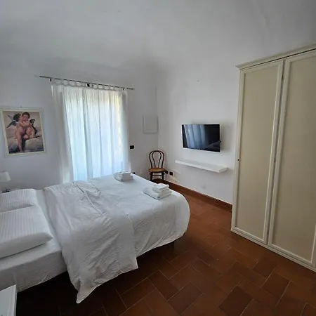 Taccetti - 