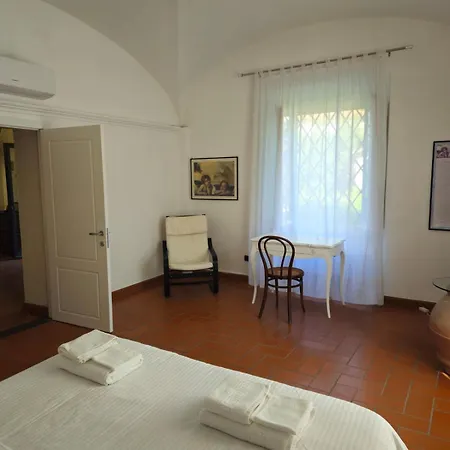 Taccetti - 