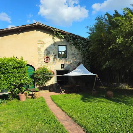 Taccetti - 